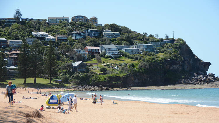 Whale Beach