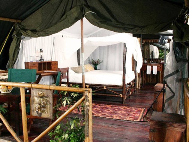 Glamping en Veracruz Glamping con cama matrimonial estilo inglés