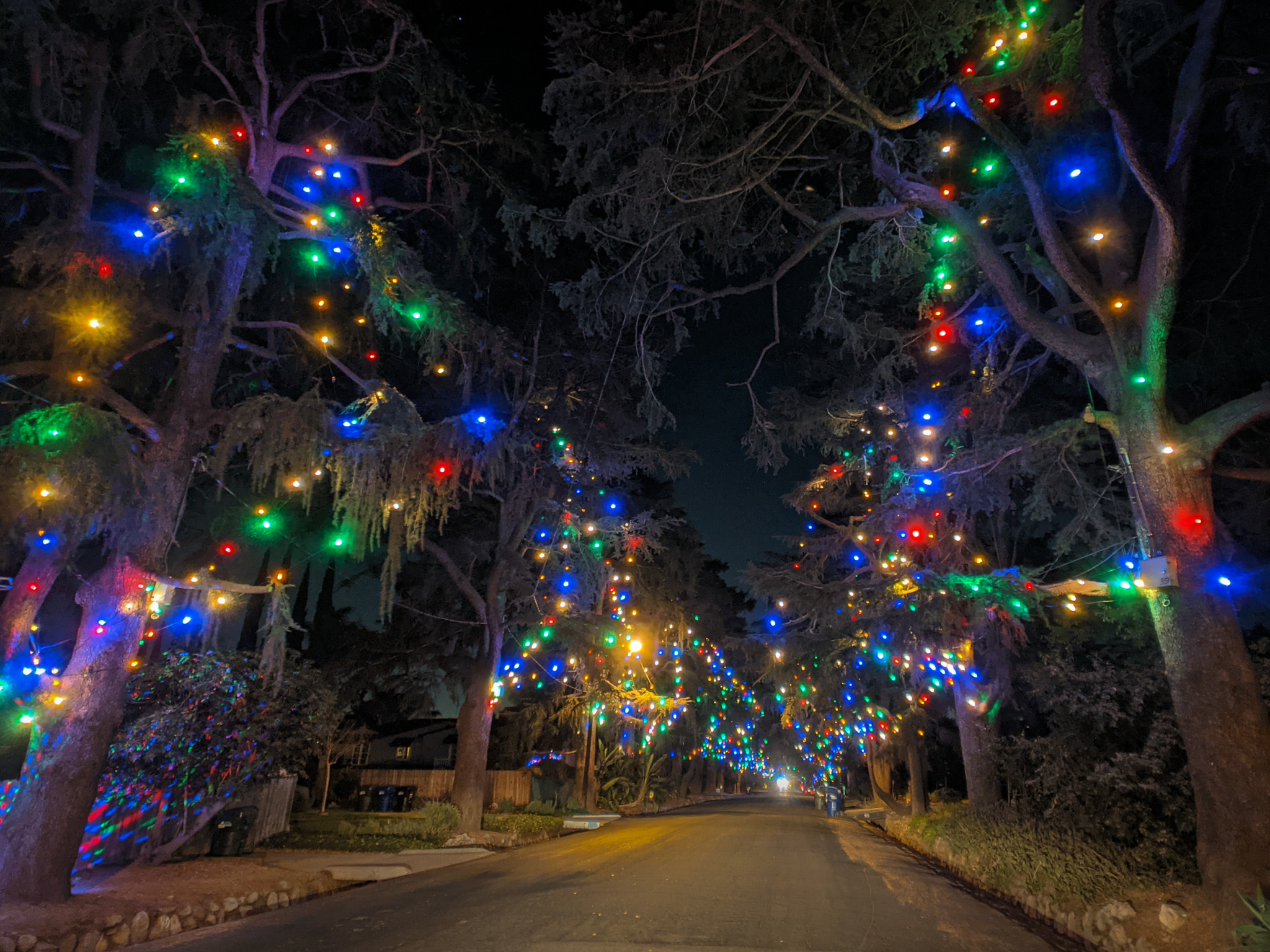 Christmas Tree Lures -  Singapore