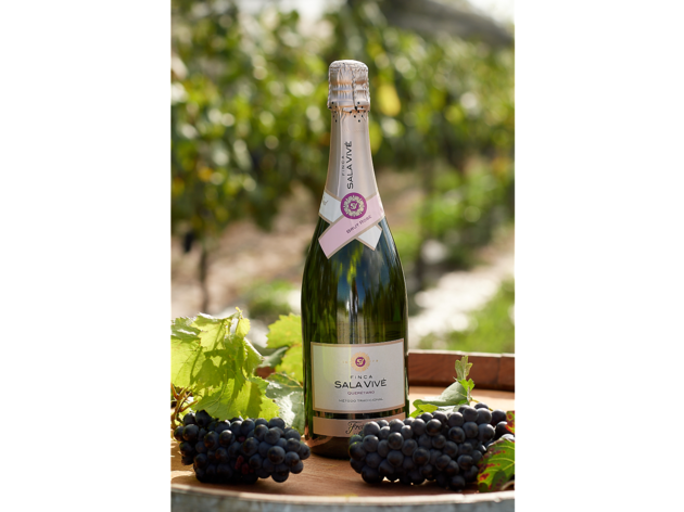 Brut Rosé de Finca Sala Vivé by Freixenet de México Brut Rosé de Finca Sala Vivé by Freixenet de México