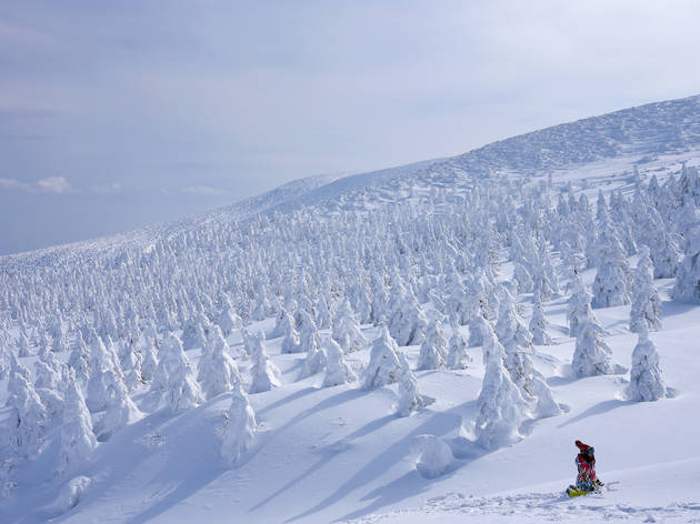 Zao Snow Monsters, Yamagata Zao Snow Monsters, Yamagata