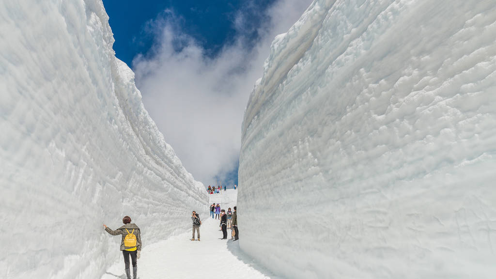 The Massive Snow Corridor At Tateyama Kurobe Alpine Route Is Opening In