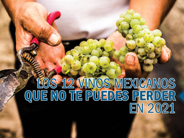 Los vinos mexicanos que no te puedes perder en 2021 Los vinos mexicanos que no te puedes perder en 2021