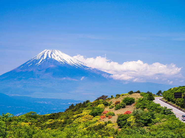 Izu Skyline, Shizuoka