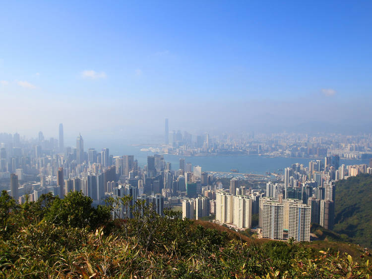 踏足香港島東區開啟新一年