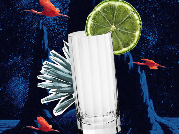 Tequila Collins Tequila Collins