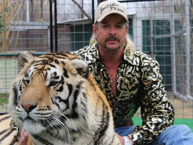 Tiger King Tiger King