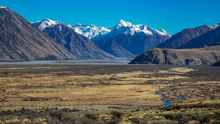 New Zealand landscape 