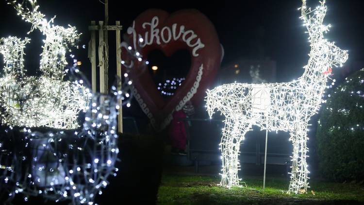 Vukovar,blagdani,Advent,prosinac,blagdan,Advent u Vukovaru