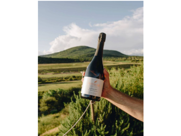 Vinos espumosos para brindar en año nuevo, Puerta del Lobo Vinos espumosos para brindar en año nuevo, Puerta del Lobo