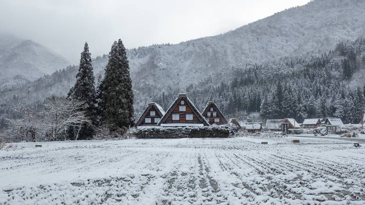 Shirakawago, snow in Japan