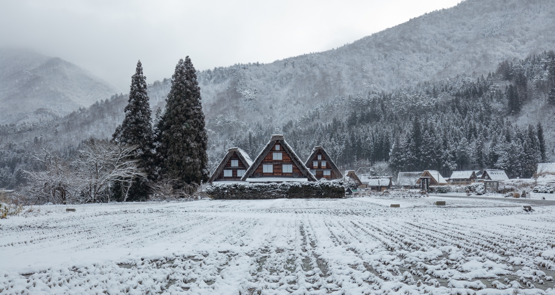 全国に寒気到来 写真で眺める日本の雪景色