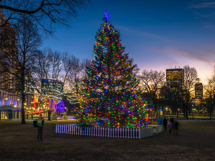 Boston Common Holiday Tree