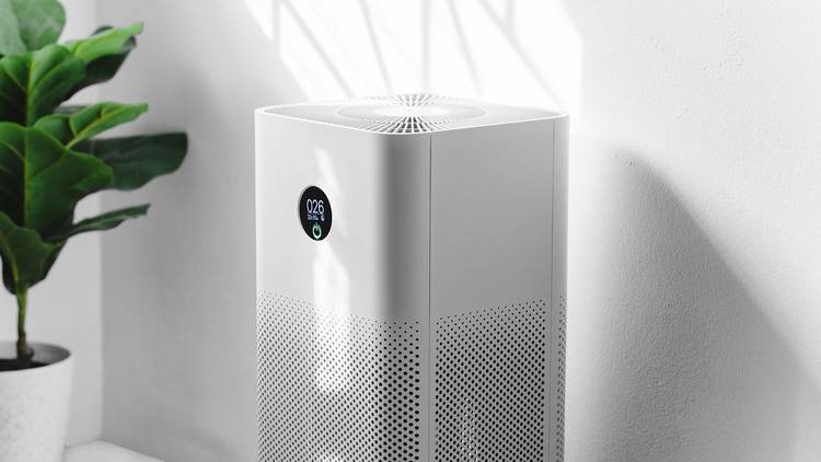 Air Purifiers