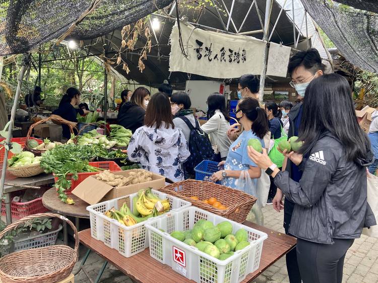 Mapopo Community Farm