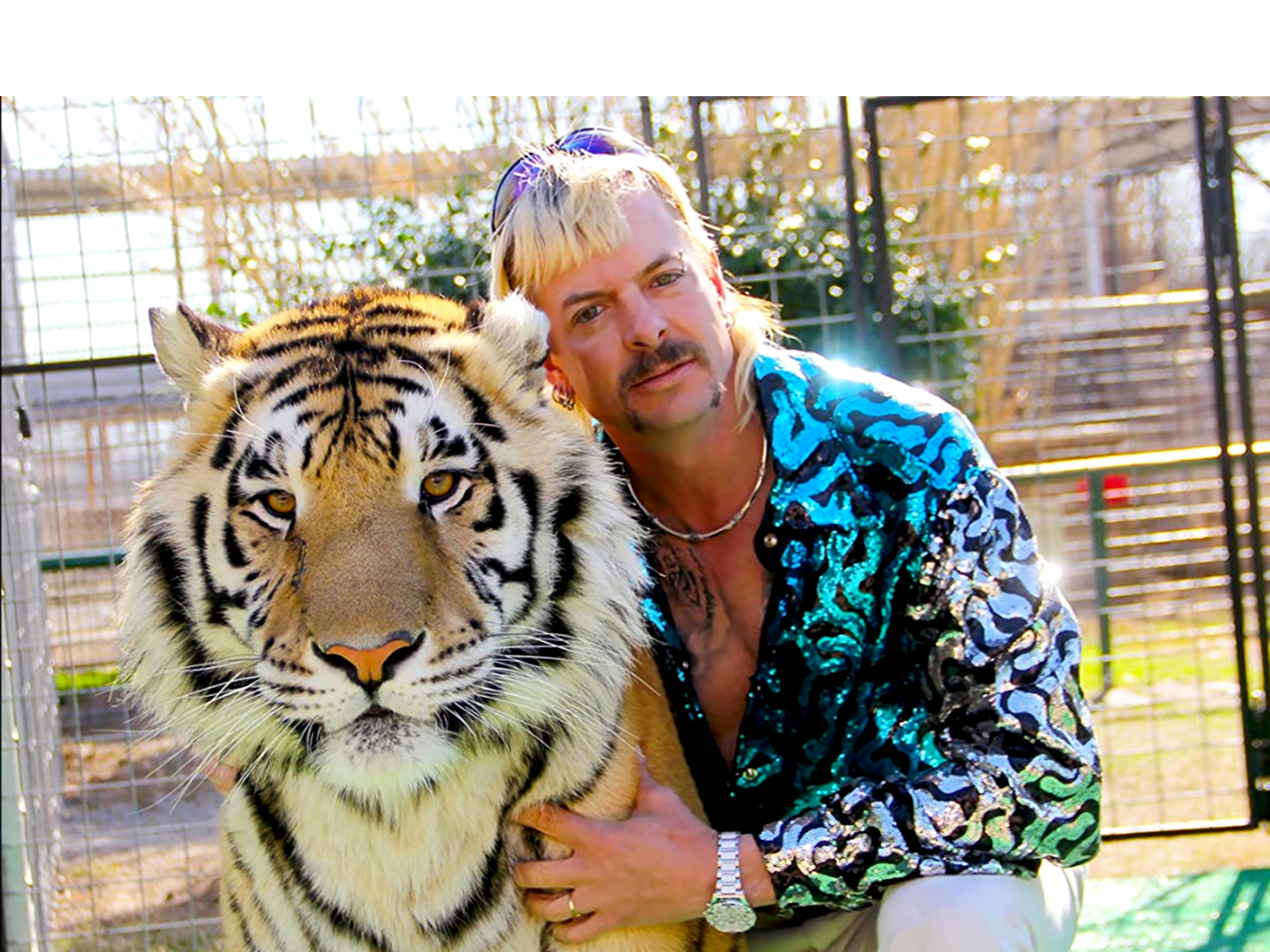 Televisão, Séries, Tiger King