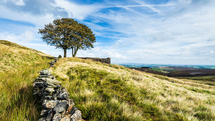 The essential guide to Haworth