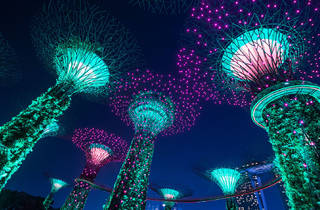 garden rhapsody returns to gardens by the bay from january 8