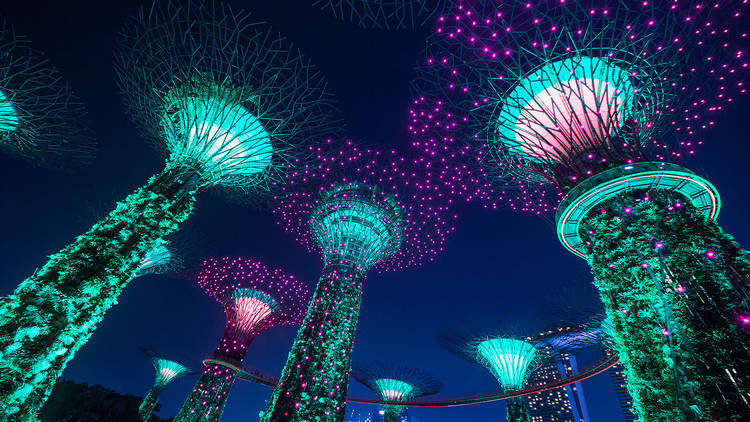 Garden By The Bay Light Show