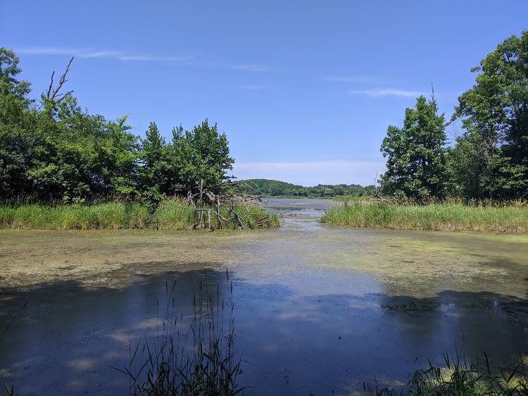 Richard Bong State Recreation Area