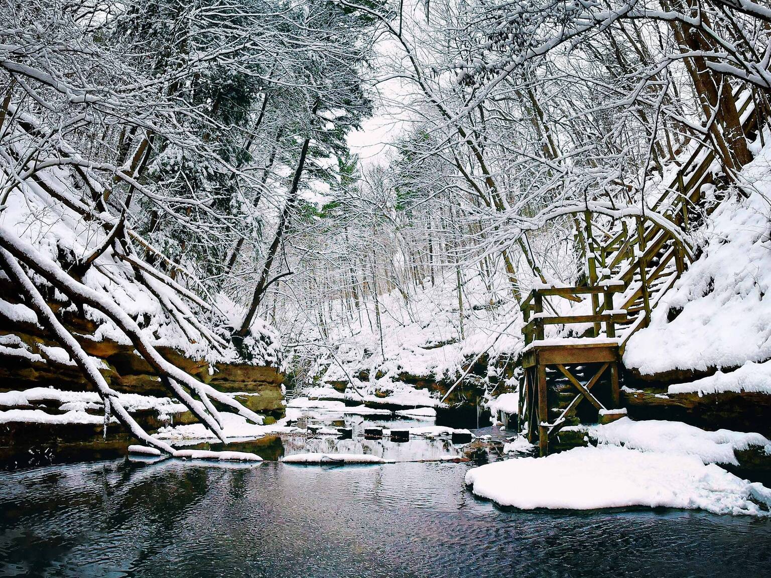 The Ultimate Guide to Winter in Chicago