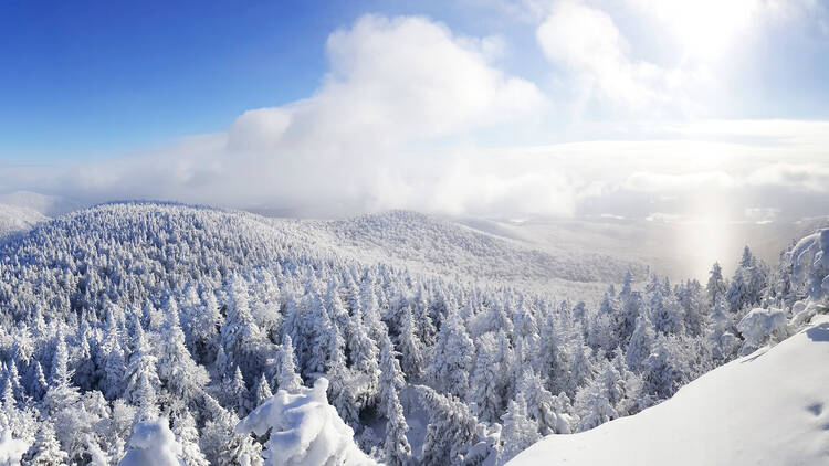 Winter hiking or snowshoeing in the country