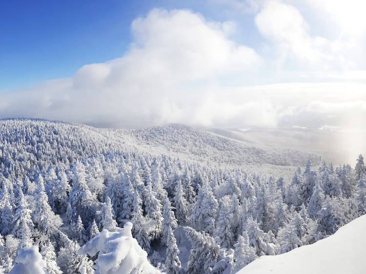 Winter hiking or snowshoeing in the country