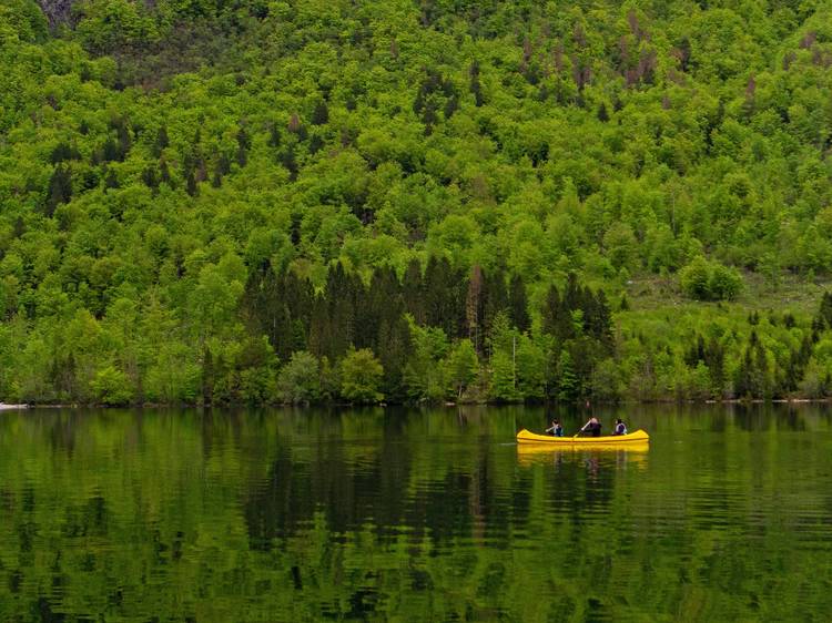 The Slovene Mountain Trail