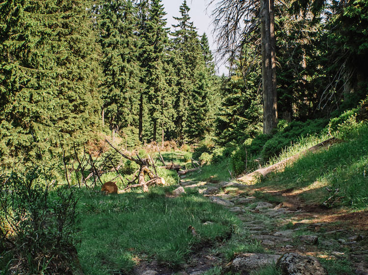 The Harz Border Trail