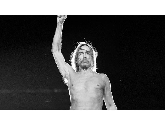 Iggy Pop Música, Rock, Indie, Iggy Pop