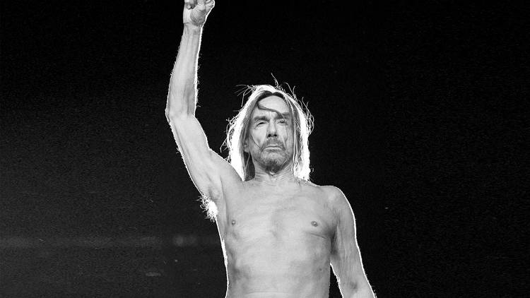Iggy Pop Música, Rock, Indie, Iggy Pop