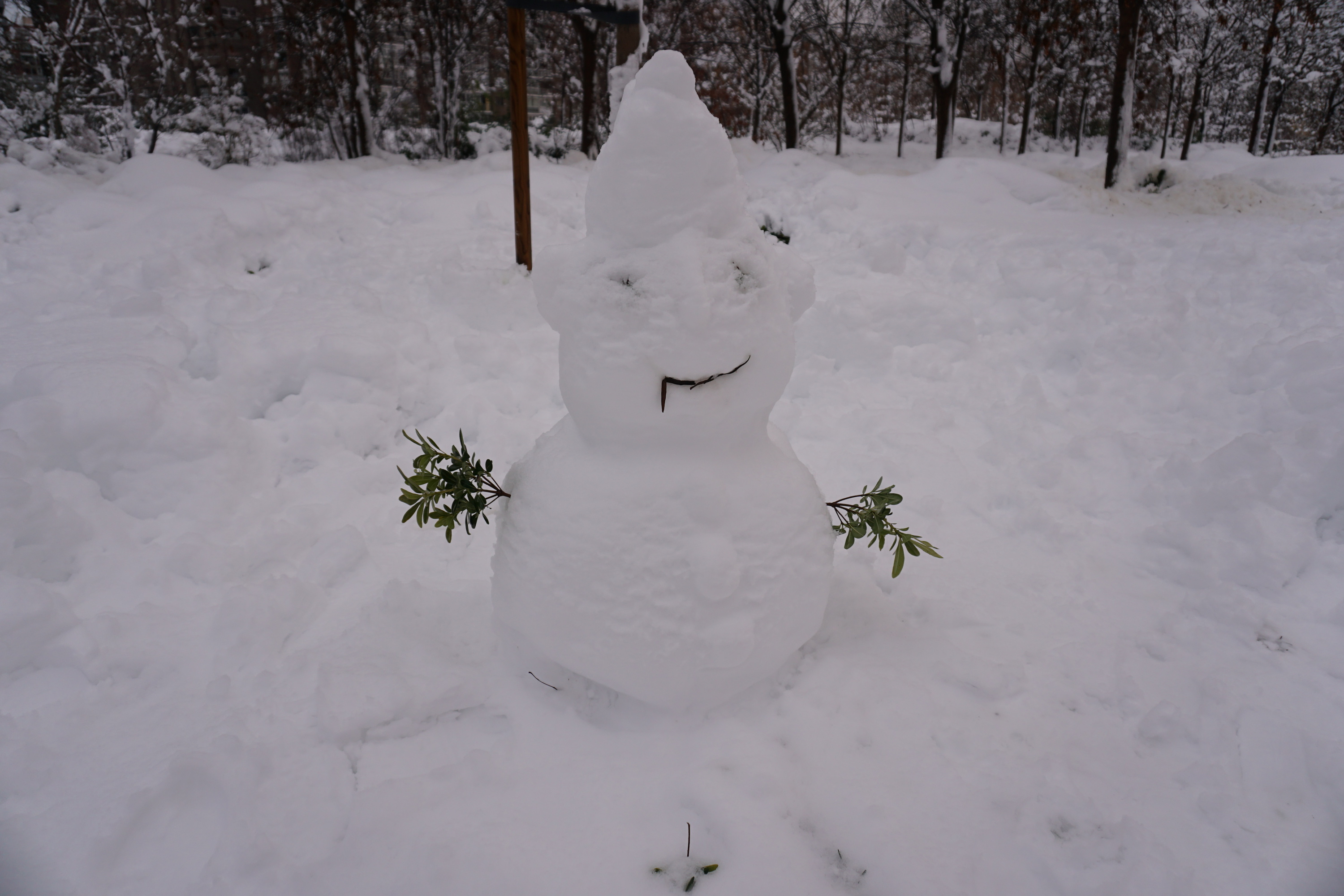 muñeco de nieve