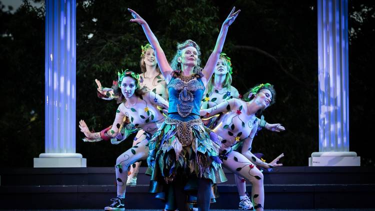 Shakespeare Under the Stars: A Midsummer Night's Dream