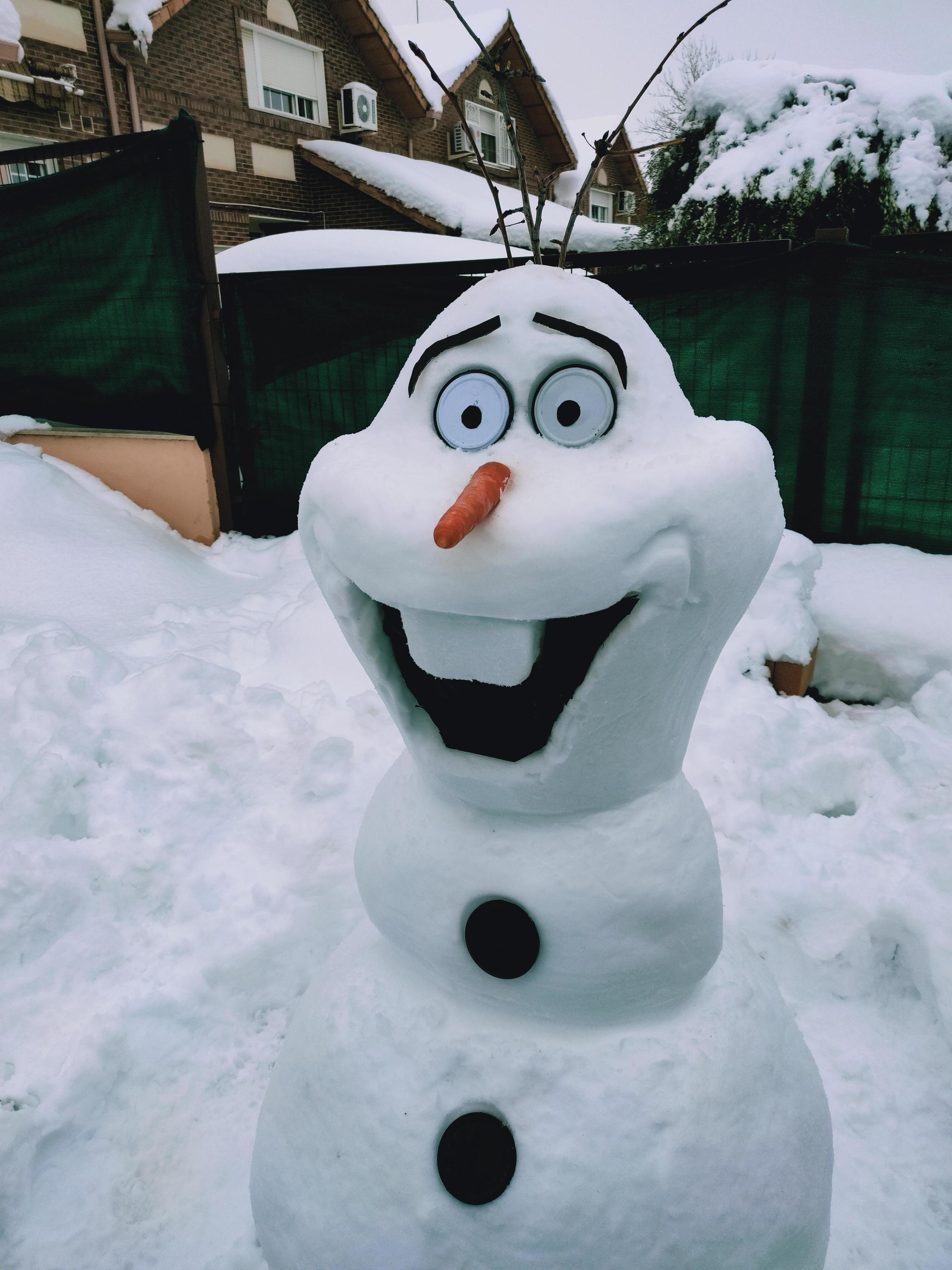 Mismo Horror Reparador Los mejores muñecos de nieve del temporal Filomena