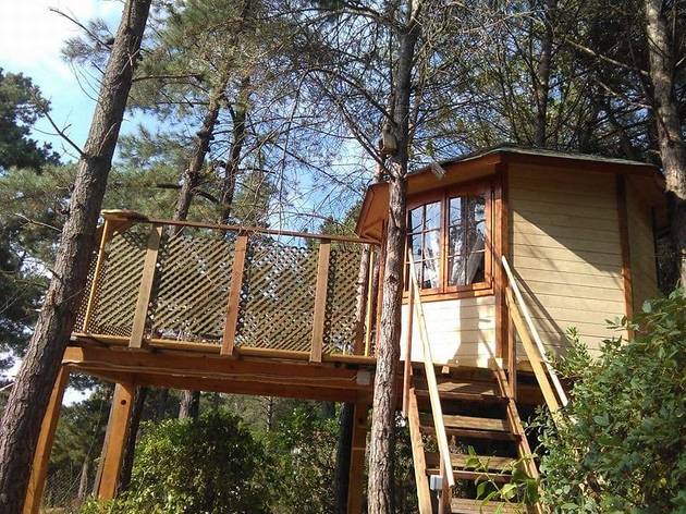 Airbnb, cabañas en los arboles