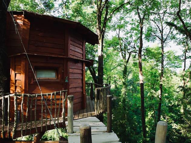 Airbnb, cabañas en los arboles