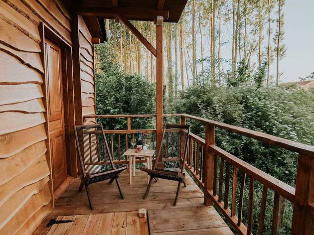 Airbnb, cabañas en los arboles