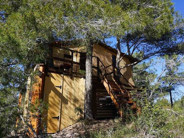 Airbnb, cabañas en los arboles