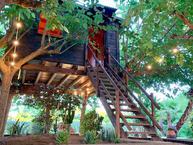 Airbnb, cabañas en los arboles