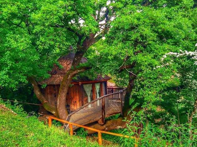 Airbnb, cabañas en los arboles