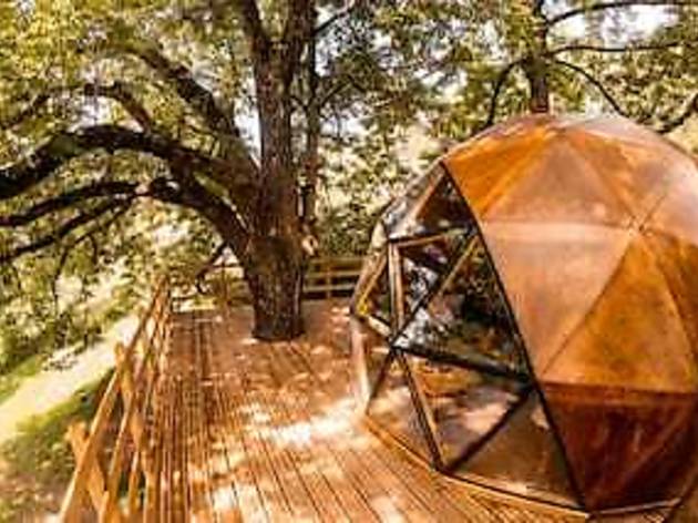 Airbnb, cabañas en los arboles