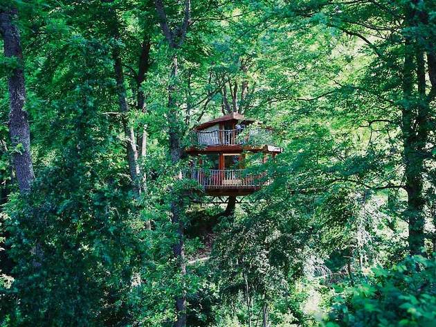 Airbnb, cabañas en los arboles