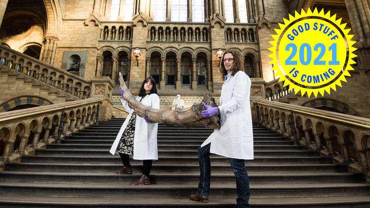 curators holding artefact at Fantastic beasts exhibition at Natural History Museum