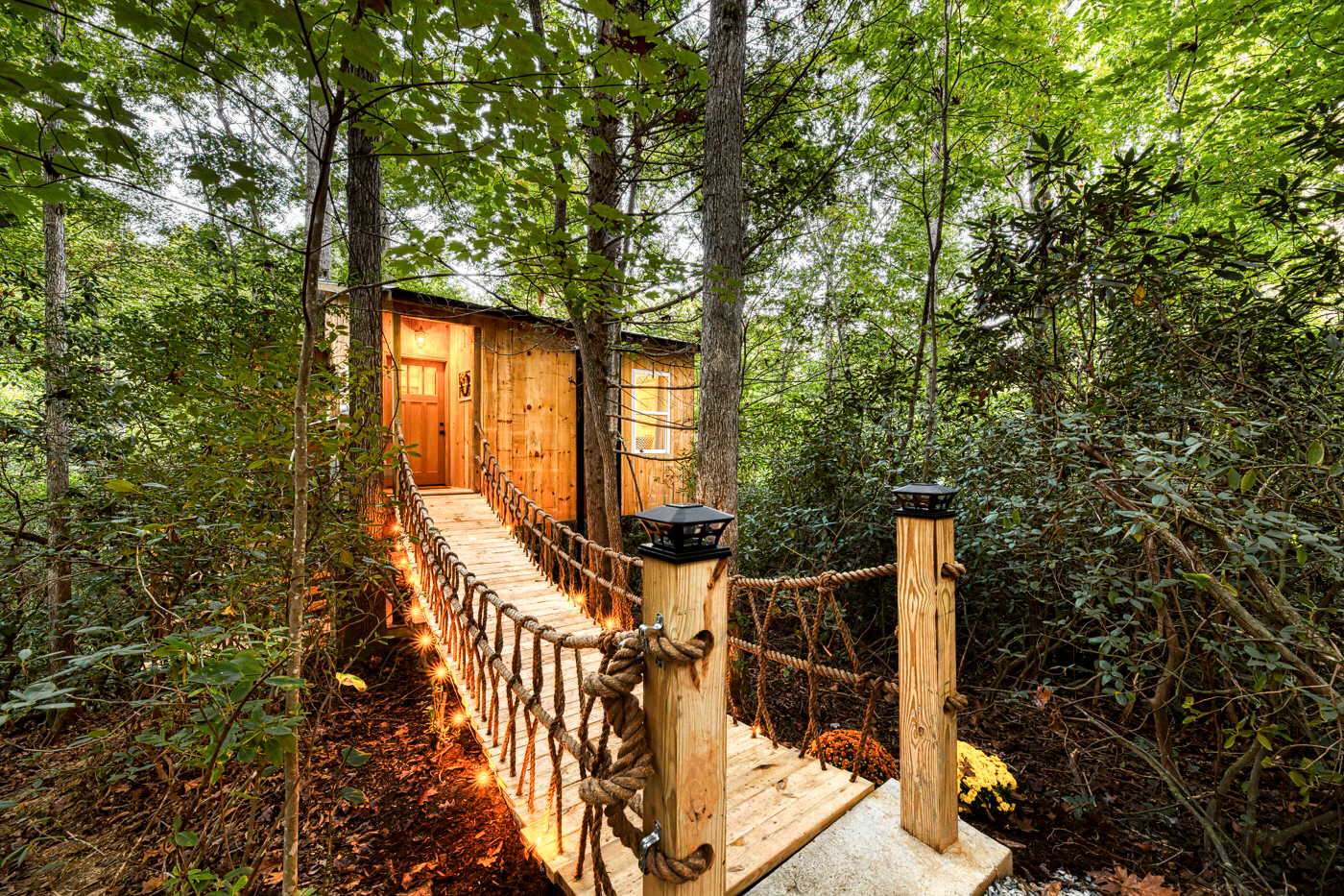North Carolina Airbnb