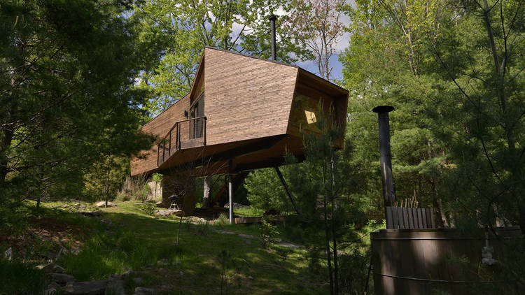 The treehouse cabin in Willow