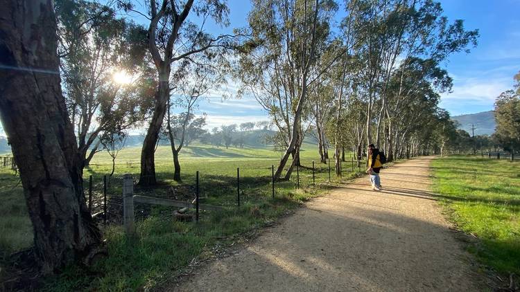 Tallarook and Trawool
