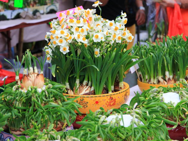 A Guide To Chinese New Year Flowers And Fruits Time Out Hong Kong