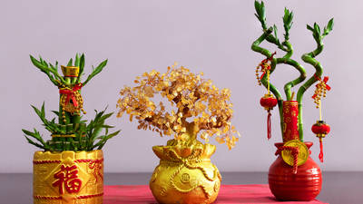 A guide to Chinese New Year flowers and fruits – Time Out Hong Kong