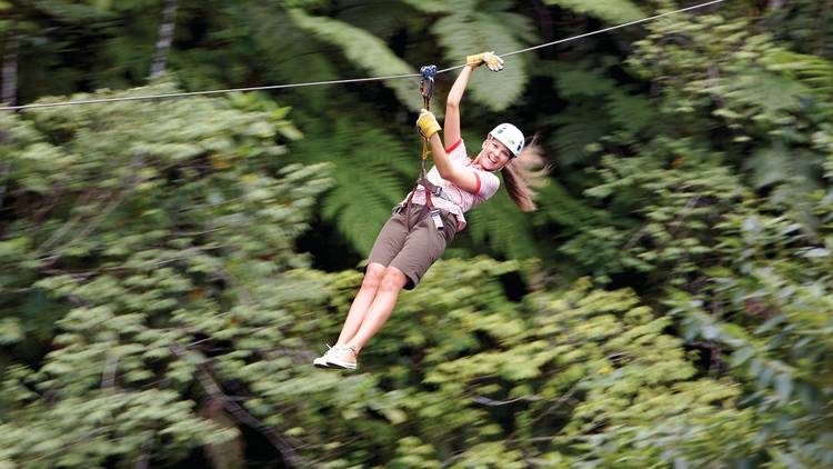 Zipline across 35 acres of lush rainforest