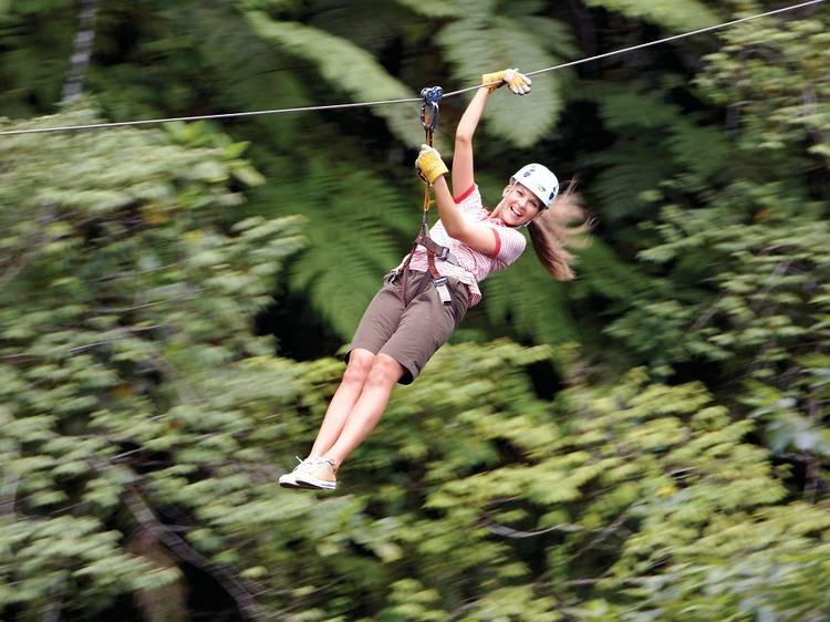 Zipline across 35 acres of lush rainforest